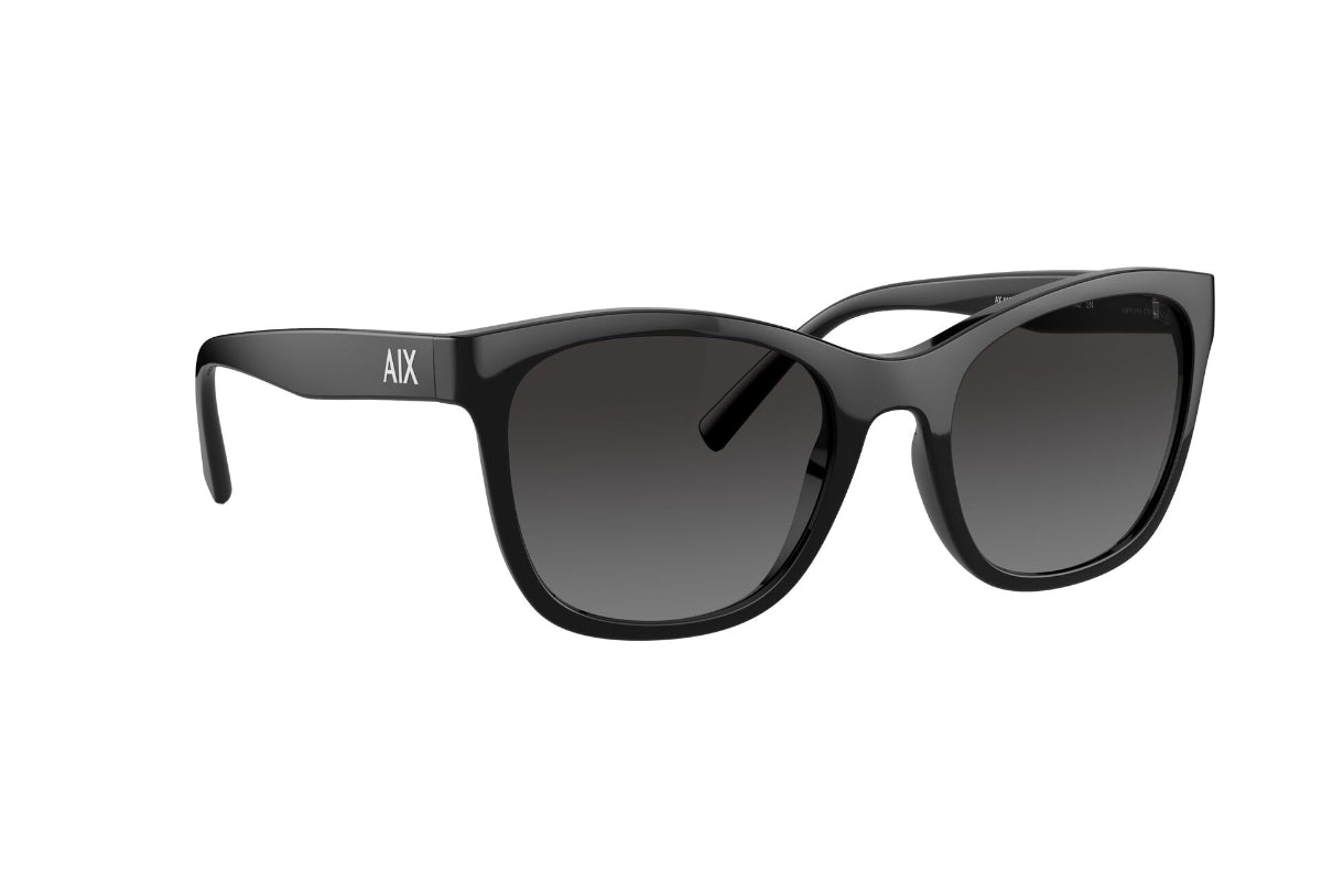 Lentes de Sol Shiny Black Armani Exchange