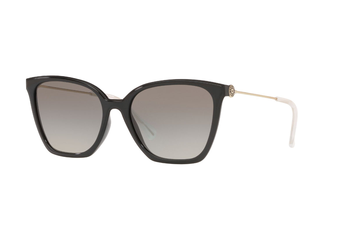 Kipling Lentes de Sol KP4063H