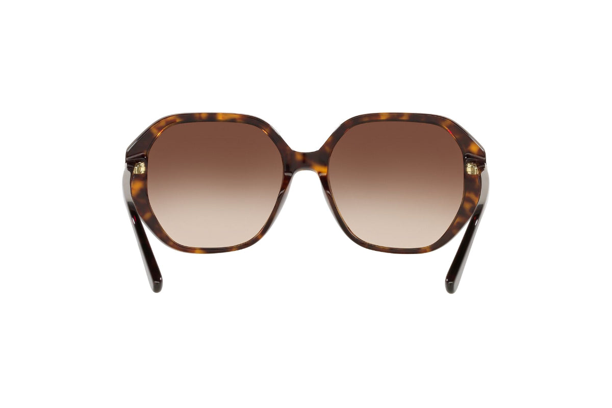 Lentes de Sol Pasadena Dark Tortoise Michael Kors