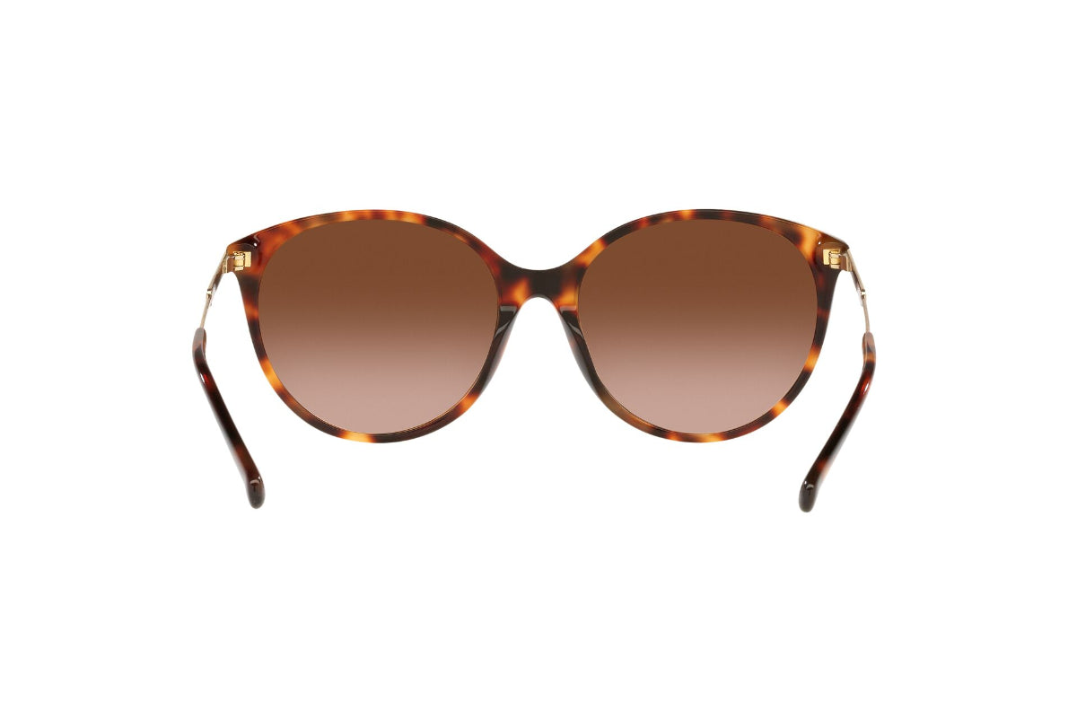Michael Kors Lentes de Sol Cruz Bay Degradados MK2168