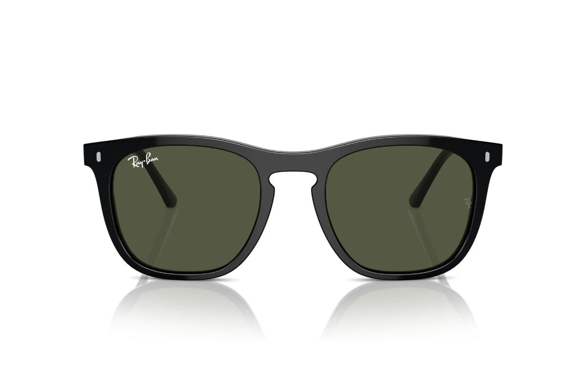 Ray-Ban Lentes de Sol RB2210