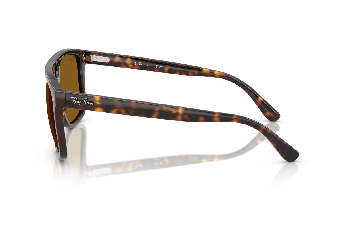 Ray-Ban Lentes de Sol RB2213