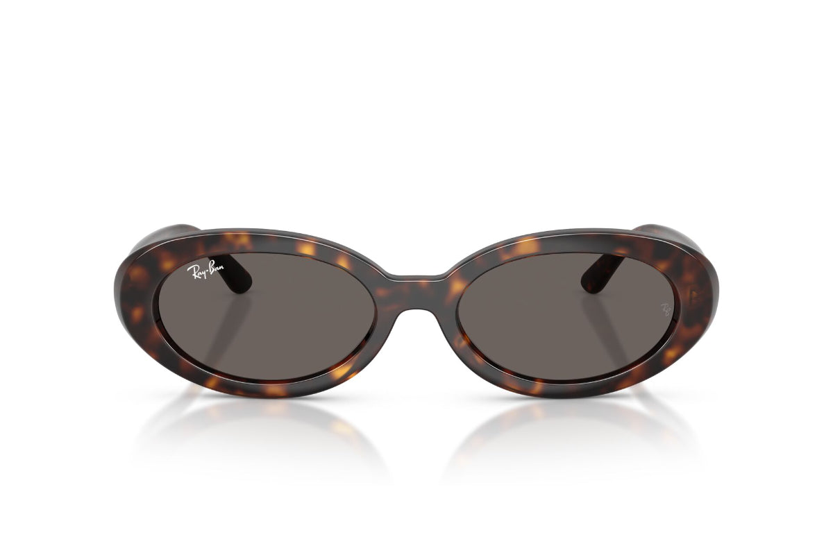 Ray-Ban Lentes de Sol The Bold RB2223