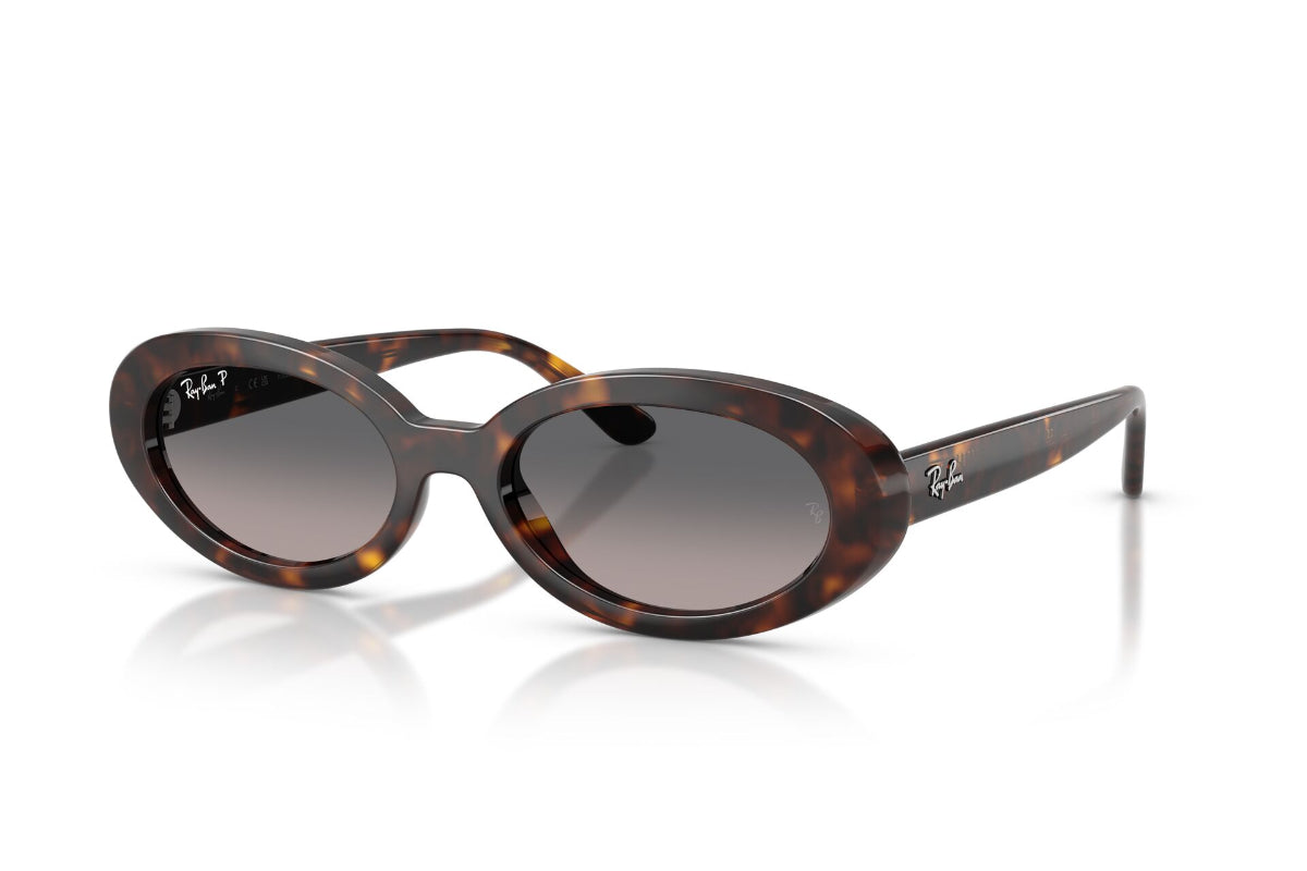 Ray-Ban Lentes de Sol The Bold Polarizados Degradados RB2223
