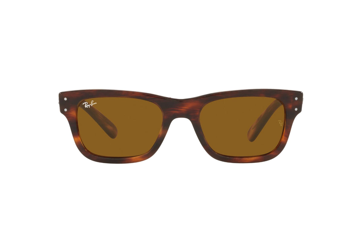 Ray-Ban Lentes de Sol Mr Burbank RB2283