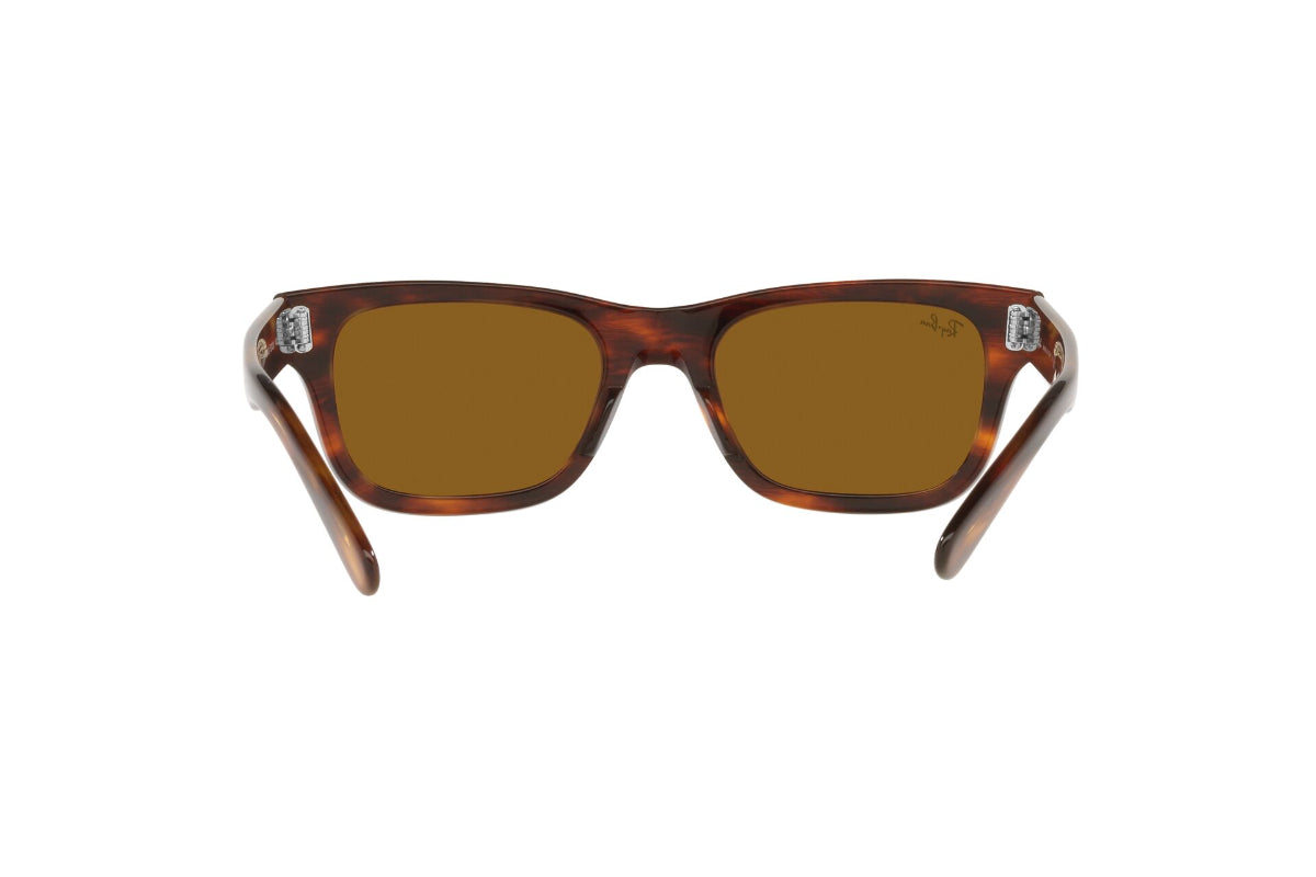 Ray-Ban Lentes de Sol Mr Burbank RB2283