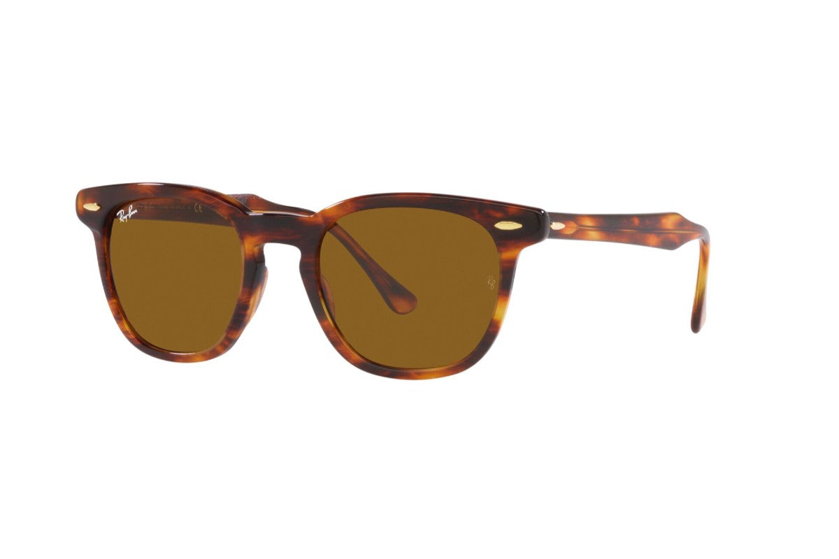 Ray-Ban Lentes de Sol Hawkeye RB2298