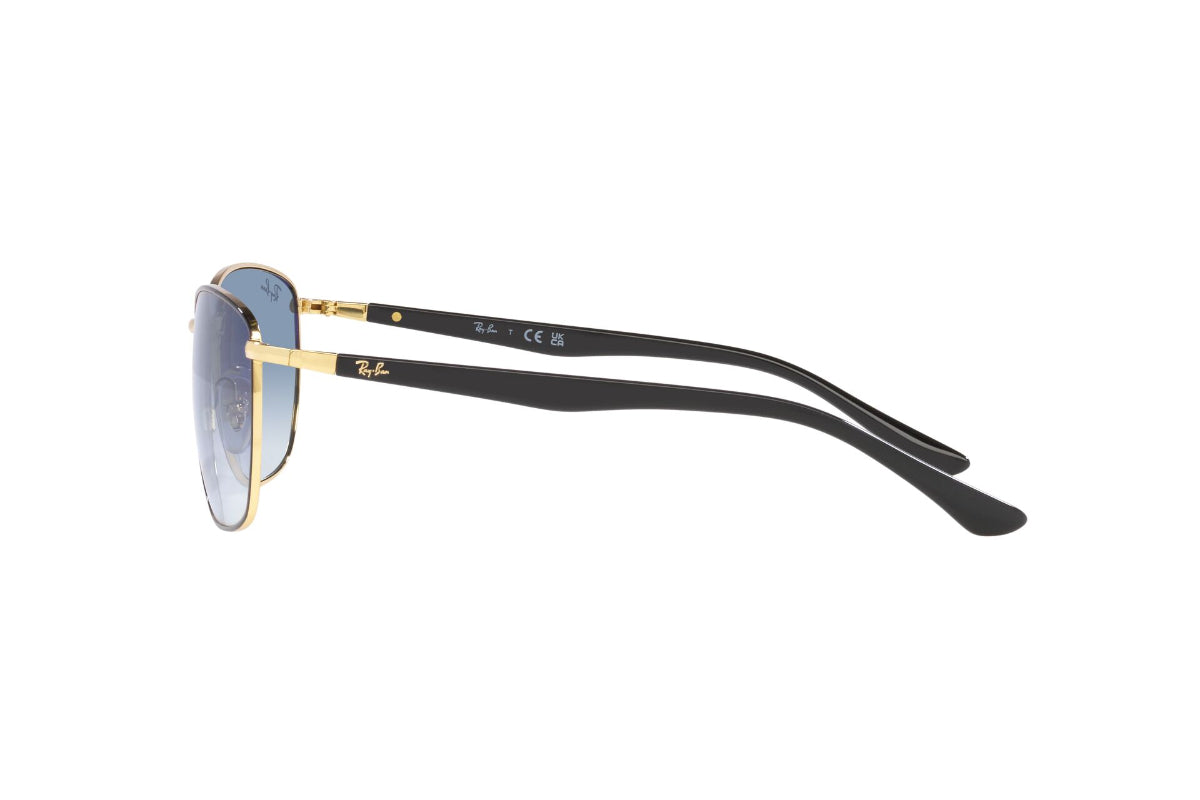 Ray-Ban Lentes de Sol RB3702