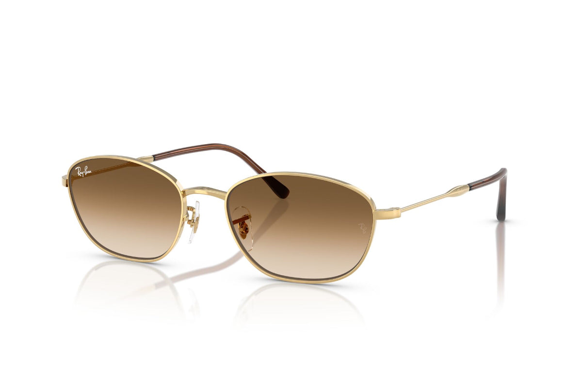 Ray-Ban Lentes de Sol Degradados RB3749