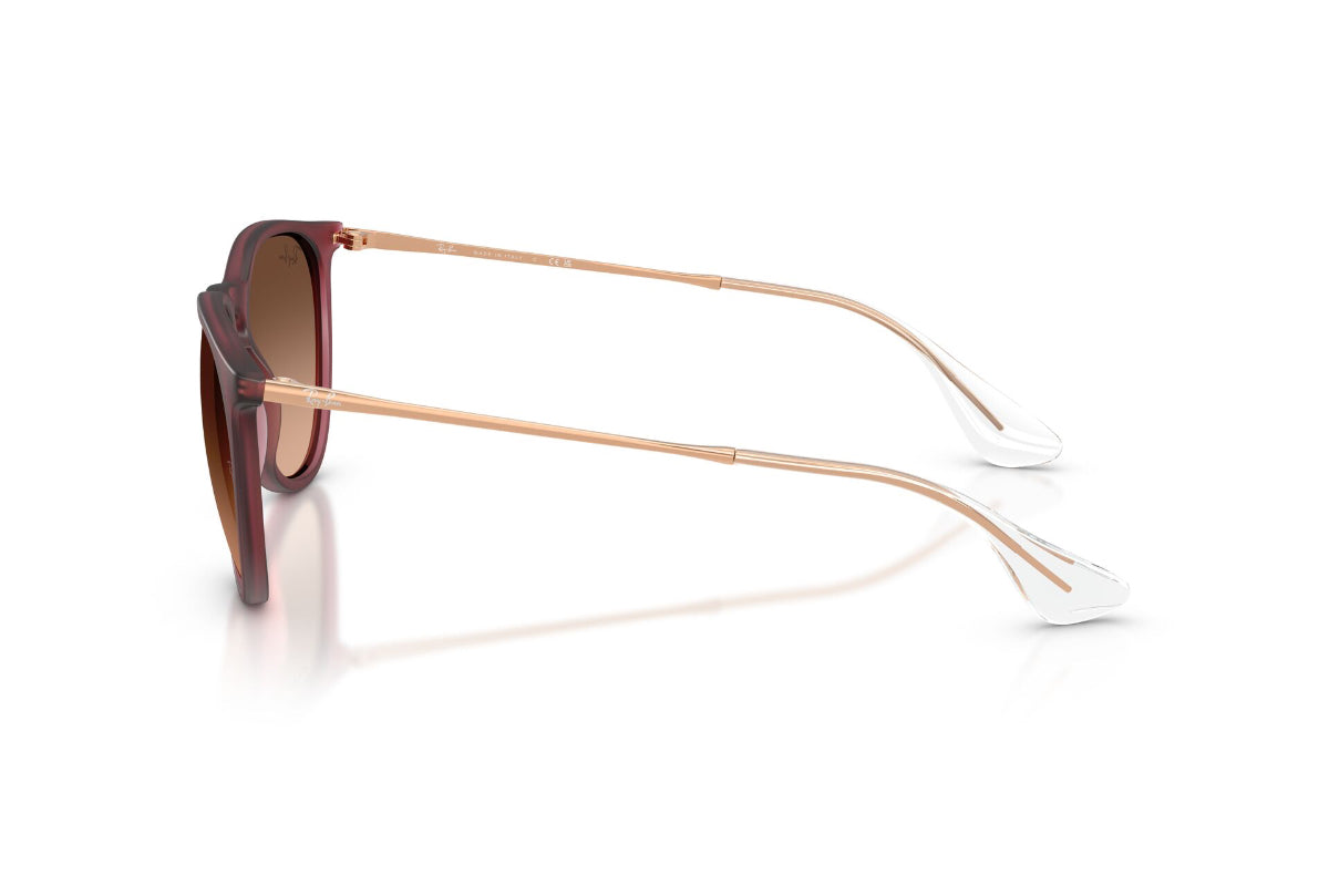 Ray-Ban Lentes de Sol Erika Degradados RB4171