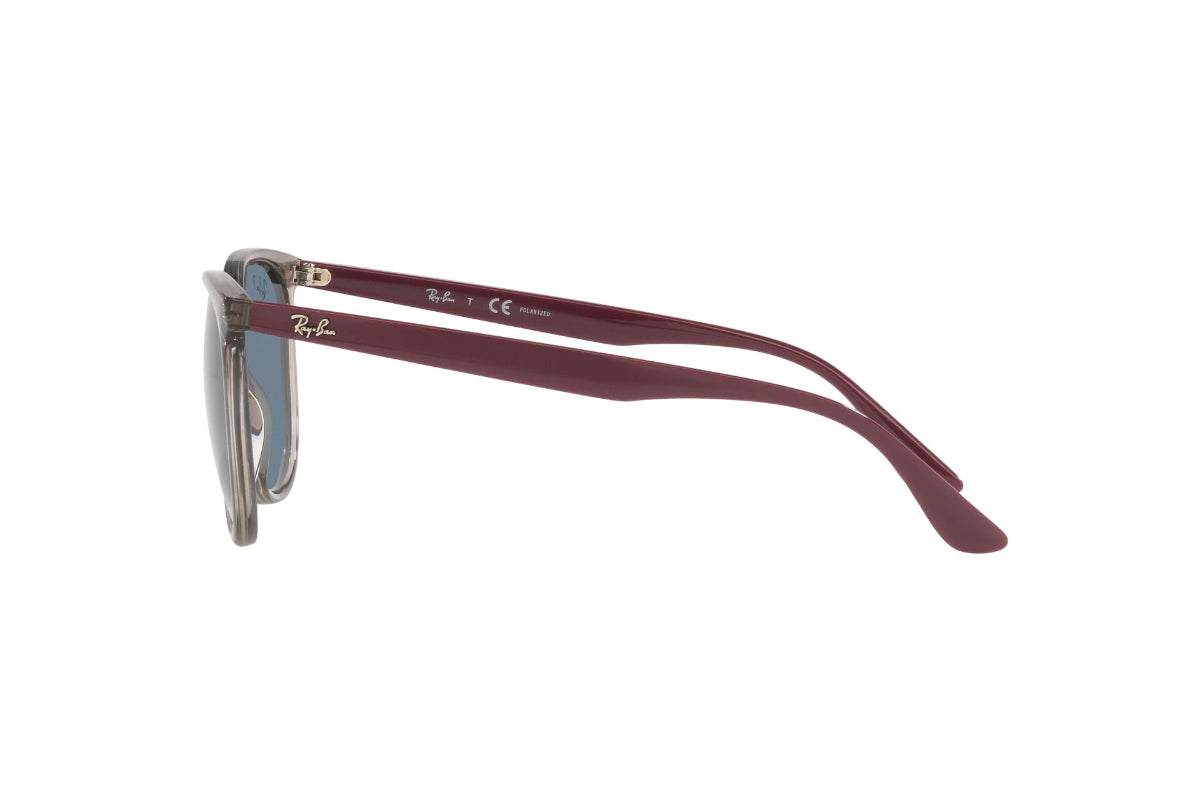 Ray-Ban Lentes de Sol RB4378