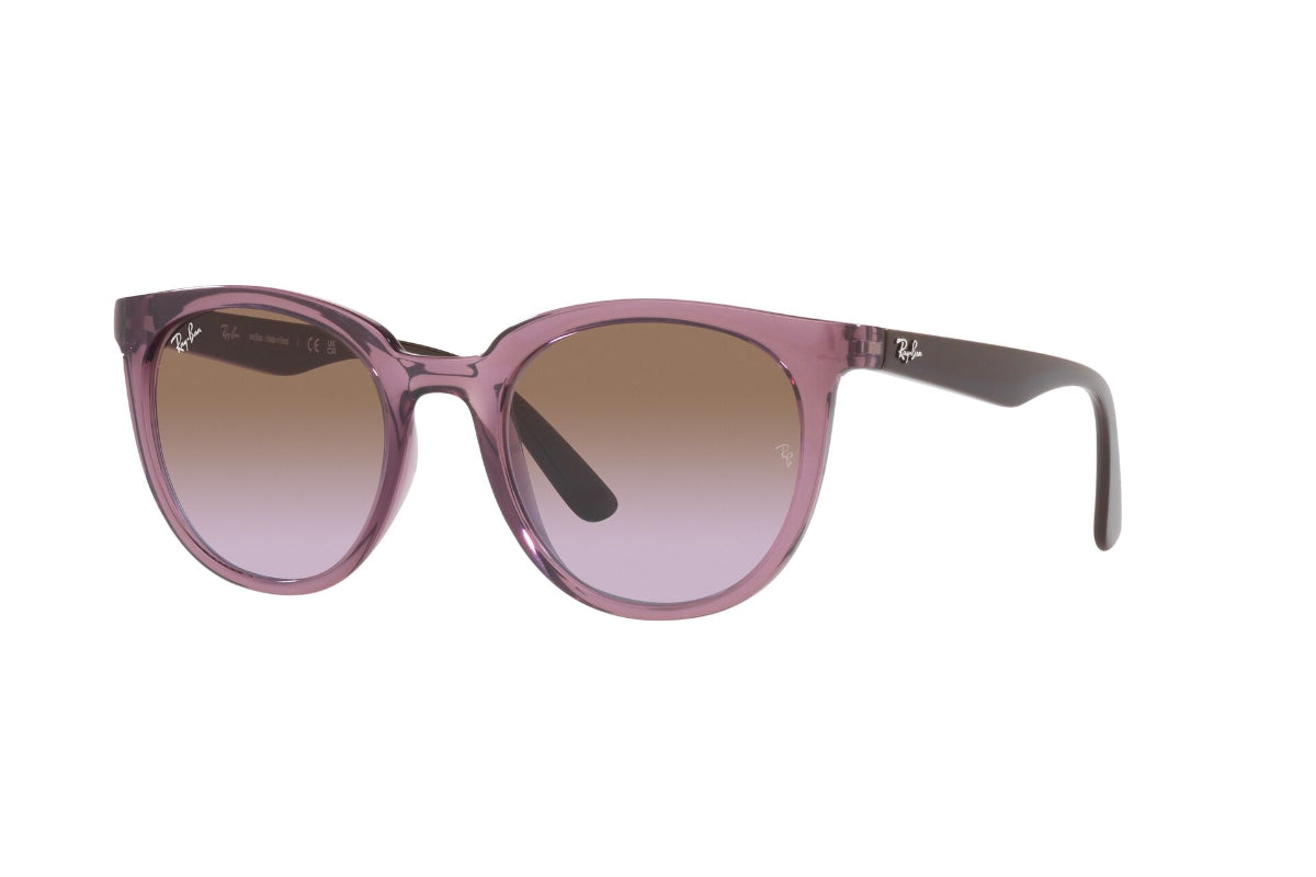 Ray-Ban Lentes de Sol RB4383L