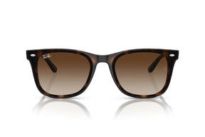 Ray-Ban Lentes de Sol RB4420