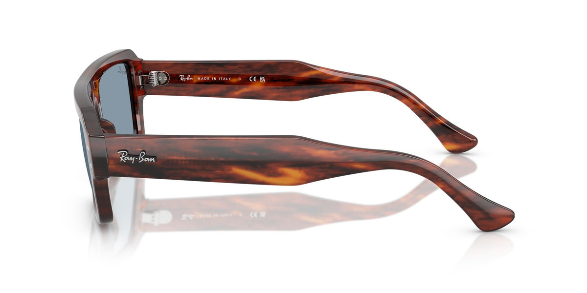 Ray-Ban Lentes de Sol Lukas RB4454