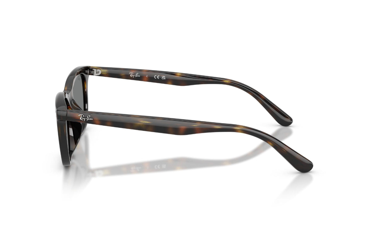 Ray-Ban Lentes de Sol RB4474D