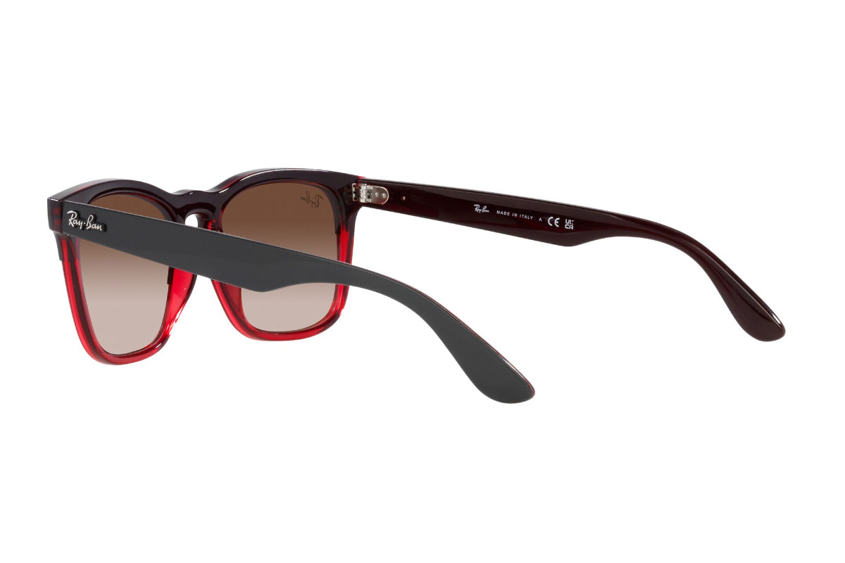 Ray-Ban Lentes de Sol Steve RB4487