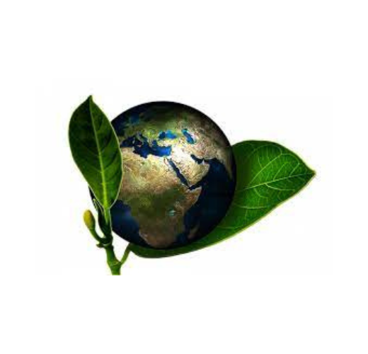 Upcycling: creatividad sustentable para cuidar nuestro planeta