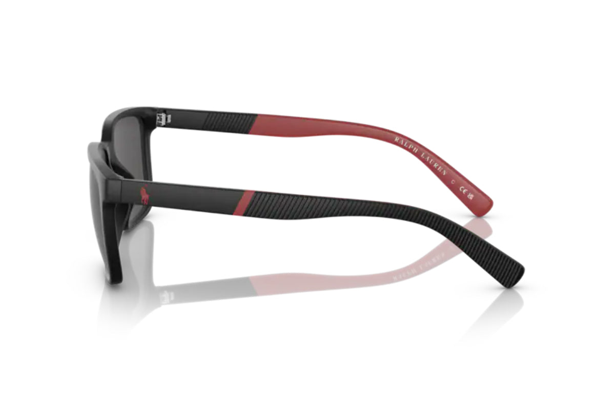 Polo Lentes de Sol