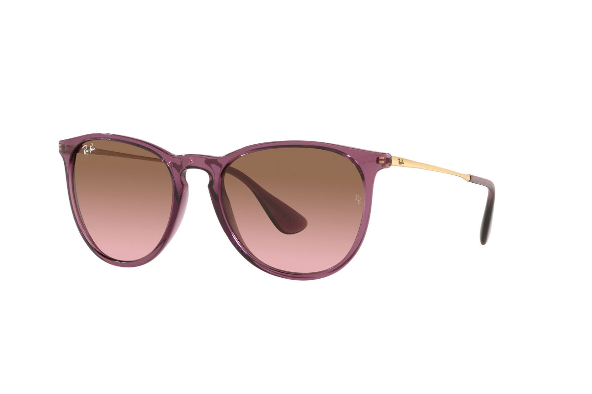 Lentes de Sol Erika Transparent Violet Ray-Ban