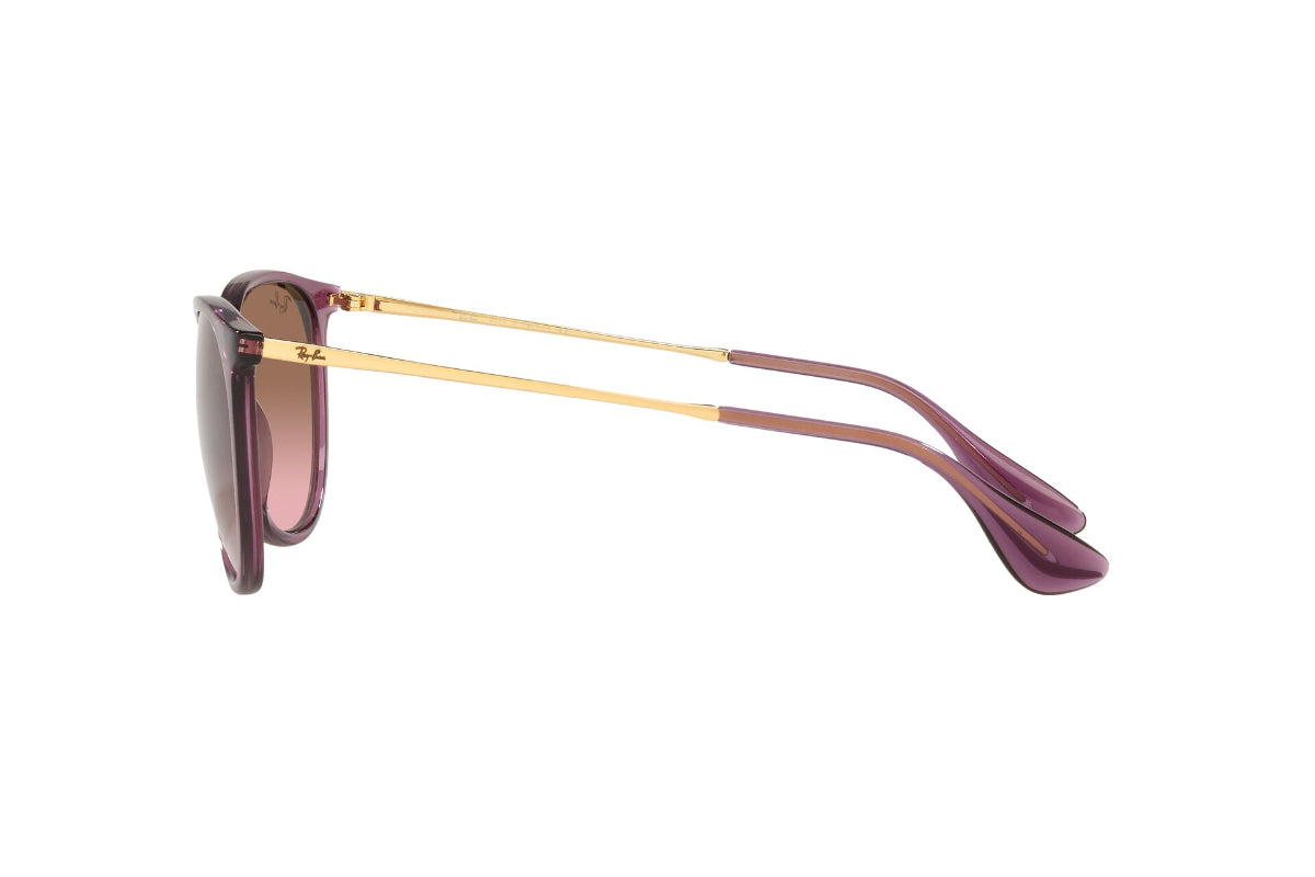 Lentes de Sol Erika Transparent Violet Ray-Ban