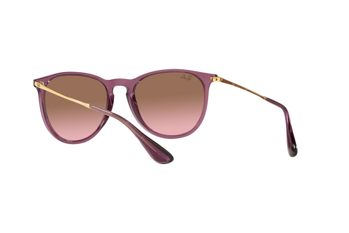 Lentes de Sol Erika Transparent Violet Ray-Ban