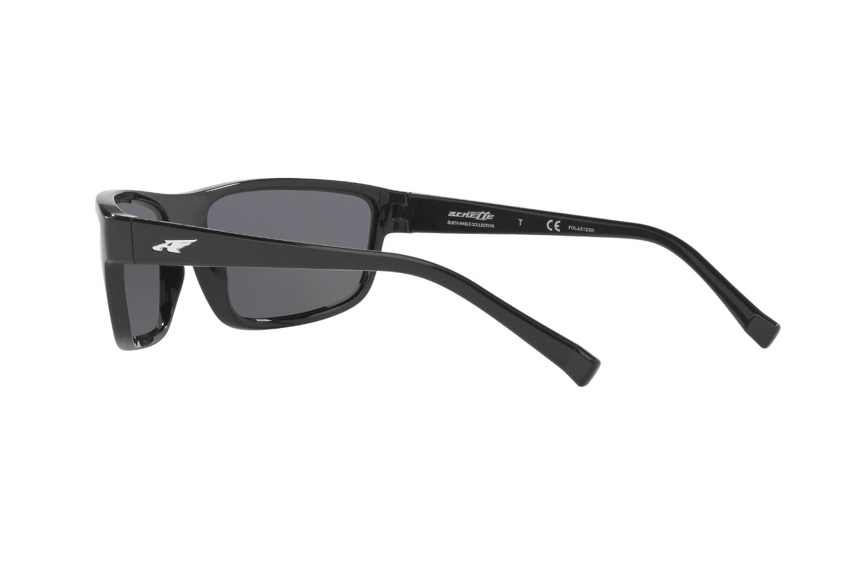 Arnette Borrow Polarizados