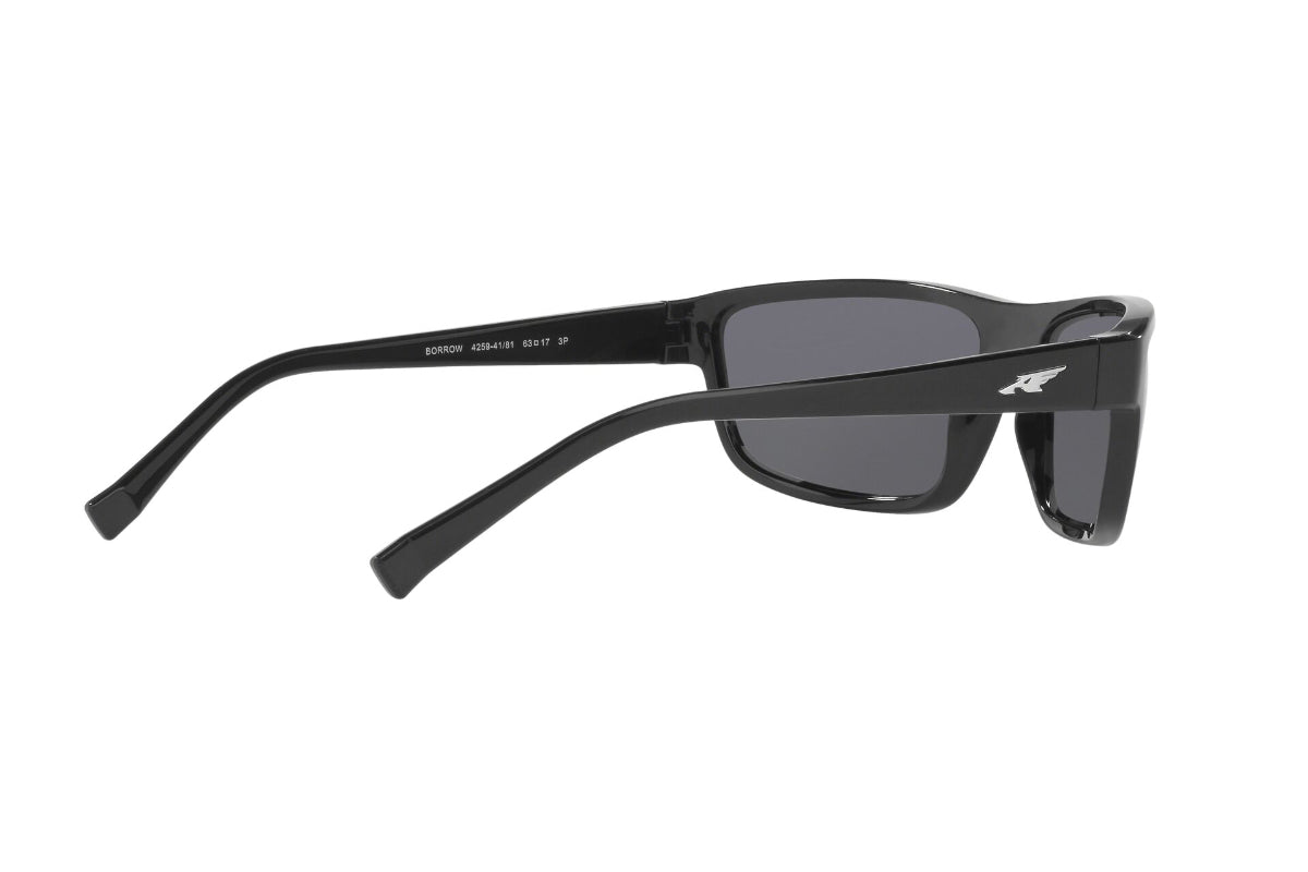 Arnette Borrow Polarizados