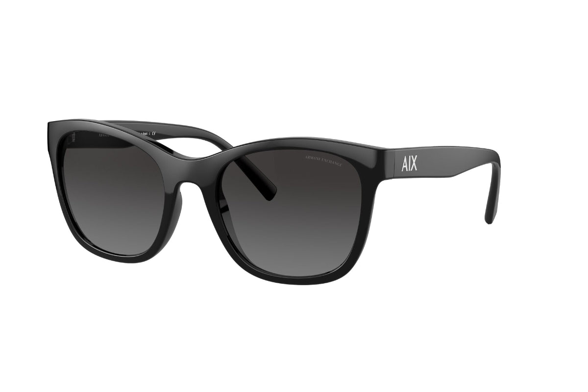 Lentes de Sol Shiny Black Armani Exchange