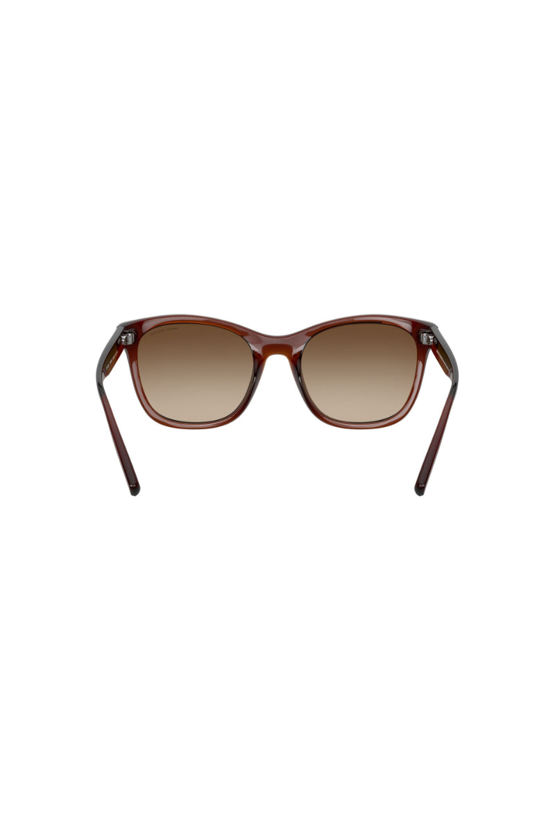 Lentes De Sol Shiny Havana Exchange Armani
