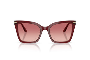 Emporio Armani Lentes de Sol Degradados EA4273BU