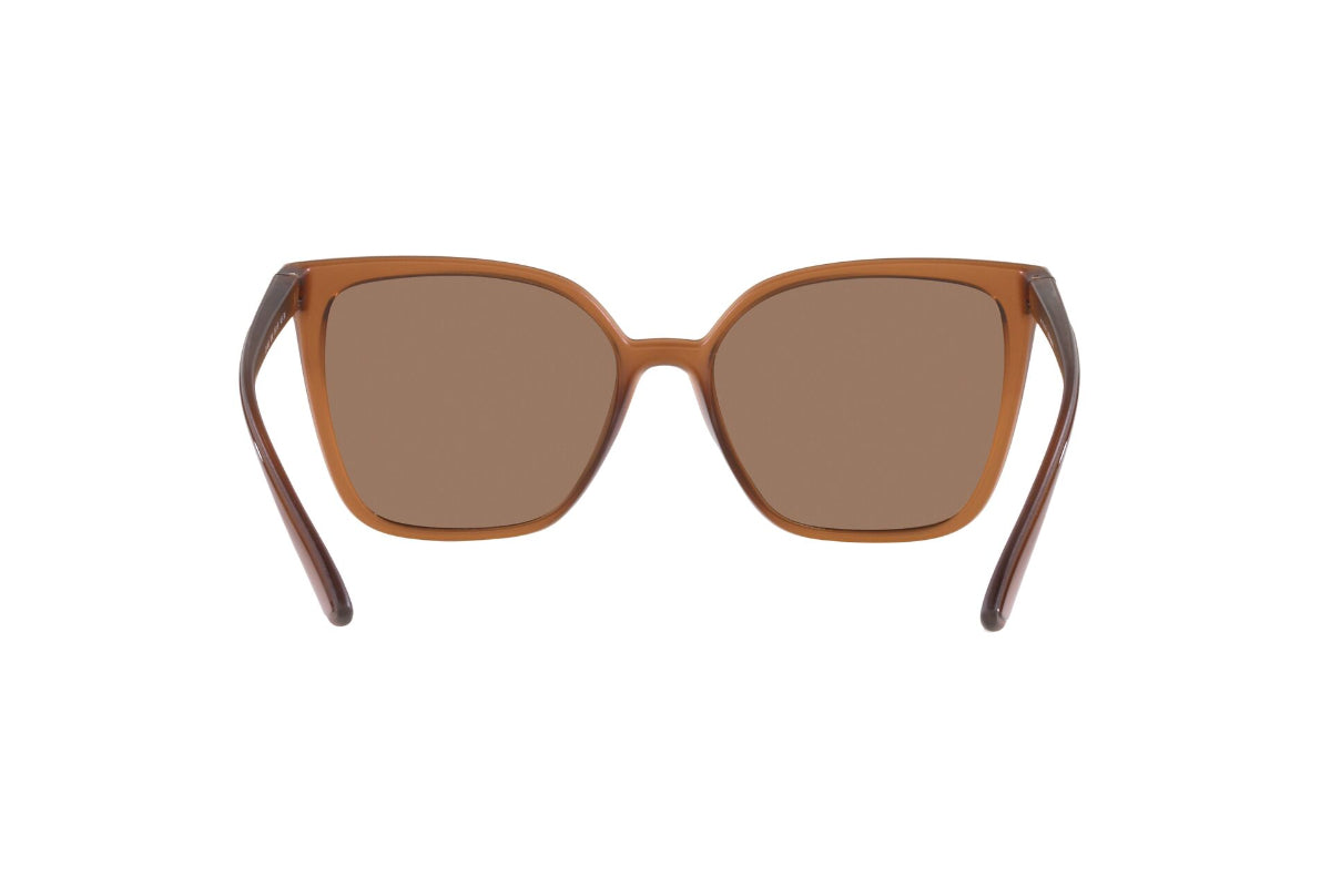 Jean Monnier Lentes de Sol