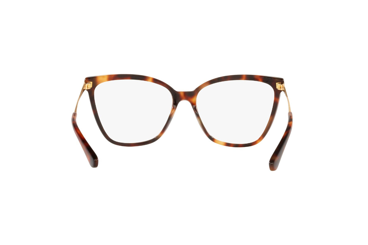 Jack Lentes Ópticos