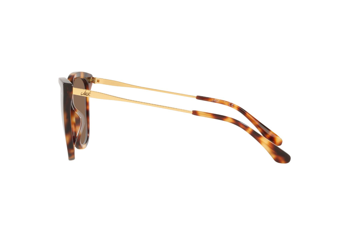 Jack Lentes de Sol