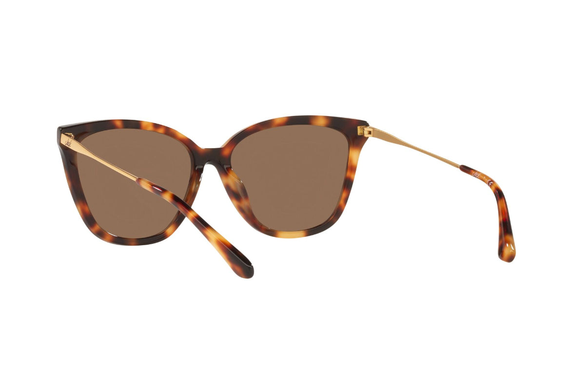 Jack Lentes de Sol