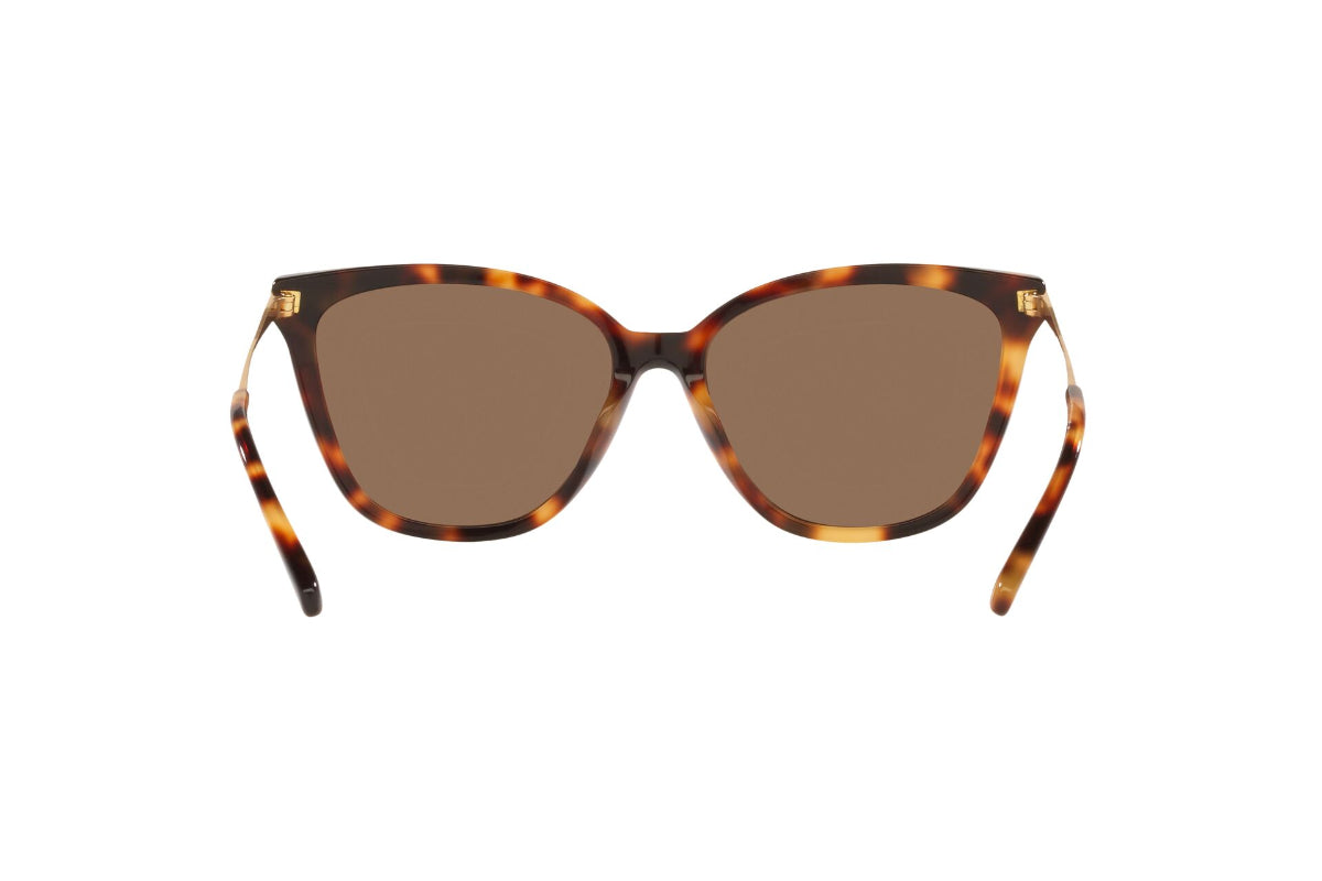 Jack Lentes de Sol
