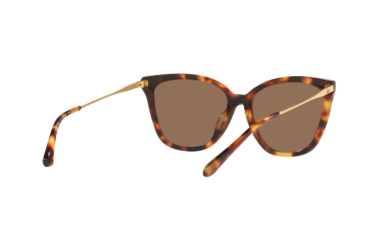 Jack Lentes de Sol