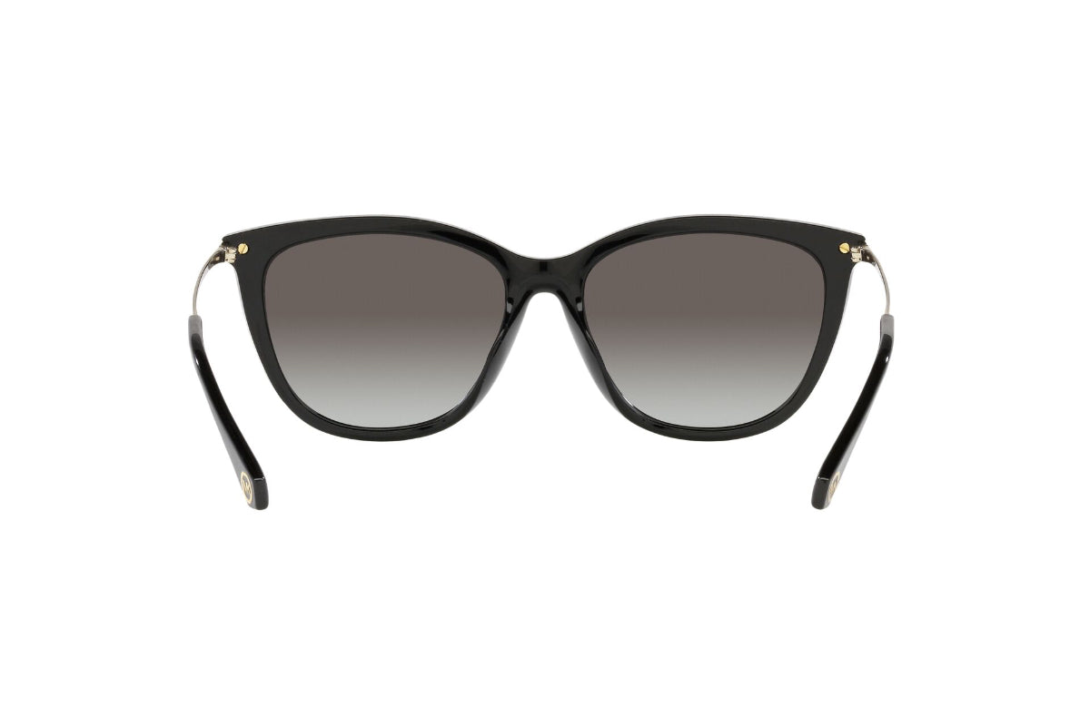 Lentes de Sol Dublin Negro Michael Kors