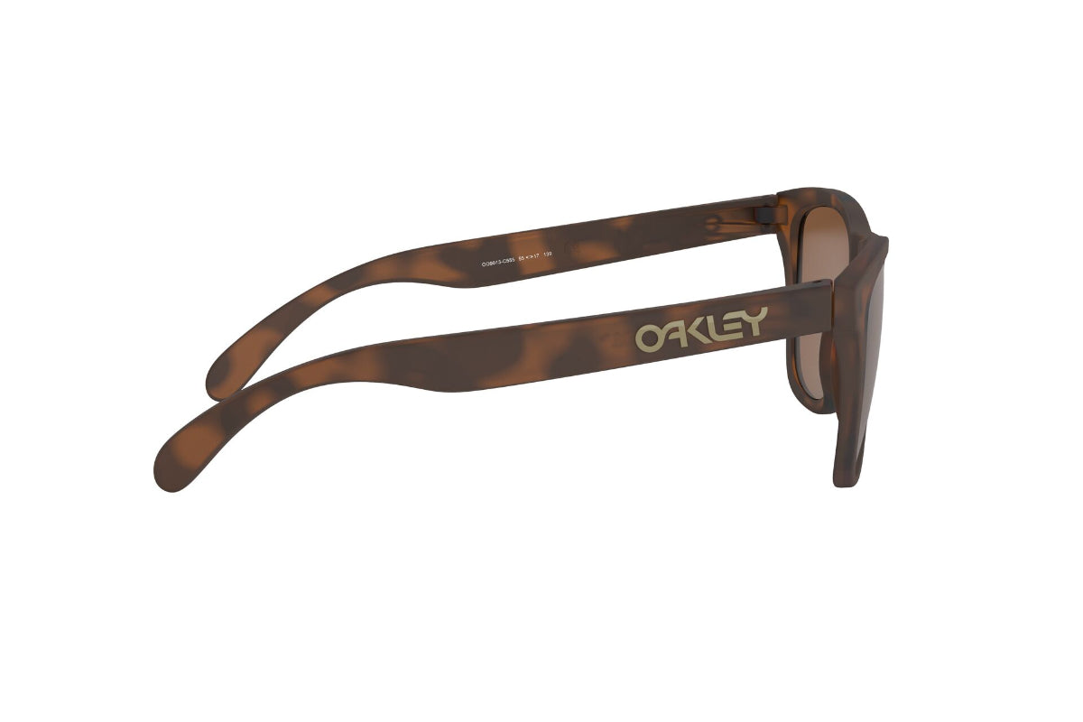 Oakley Frogskins Prizm