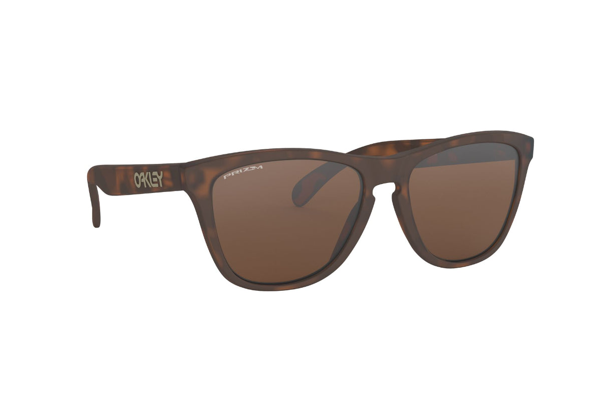 Oakley Frogskins Prizm