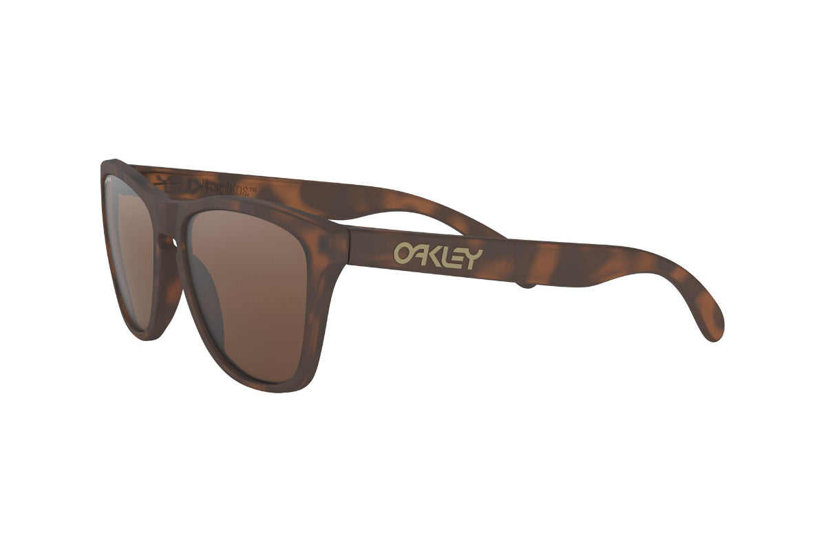Oakley Frogskins Prizm