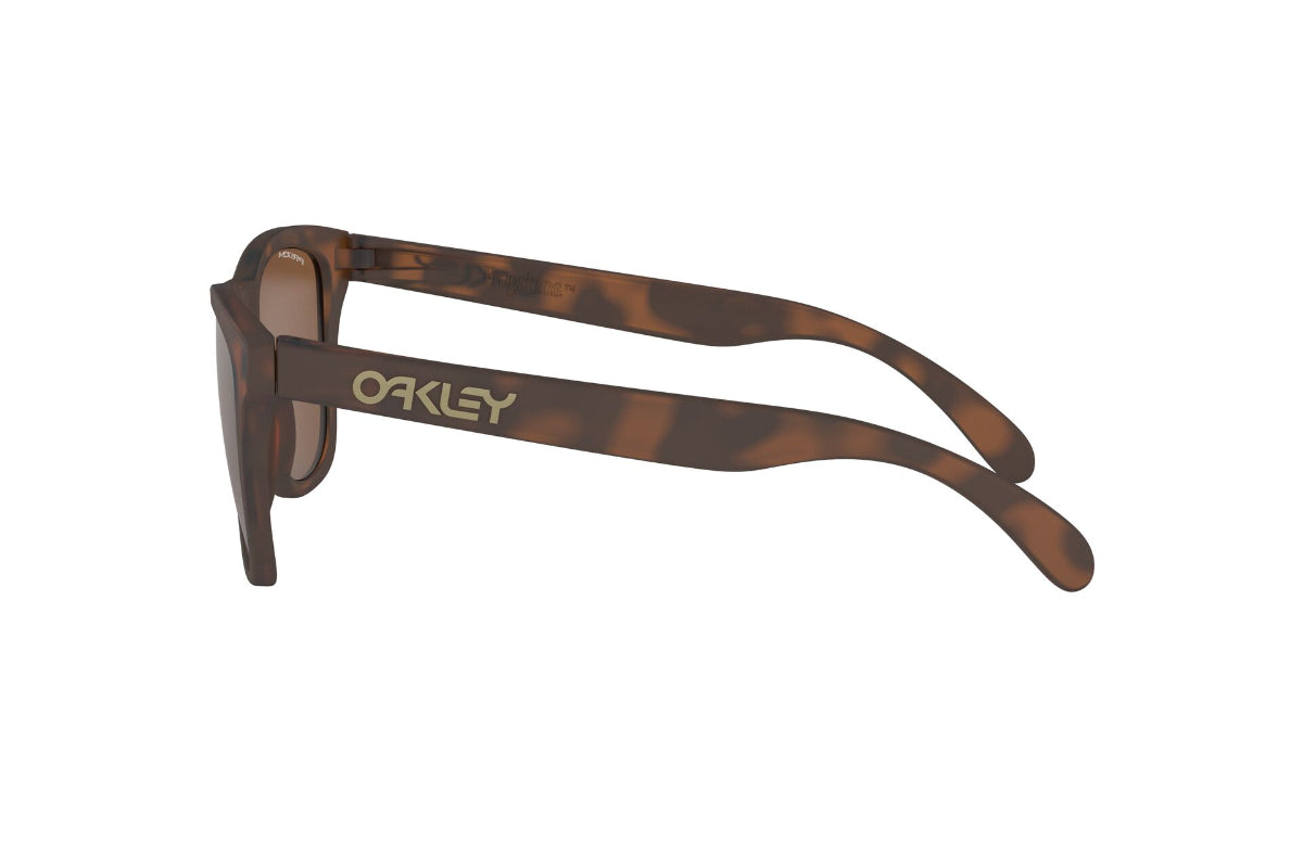 Oakley Frogskins Prizm