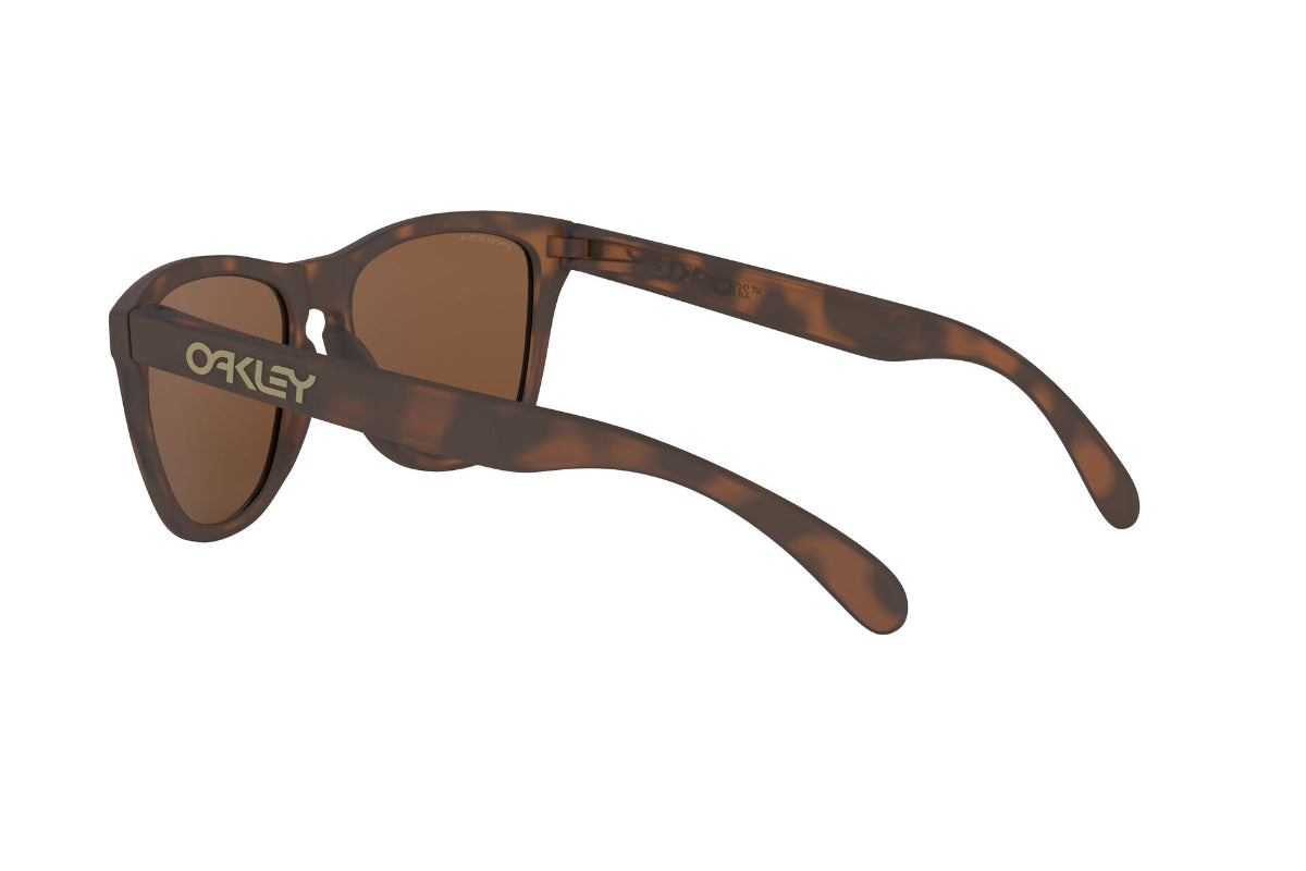 Oakley Frogskins Prizm