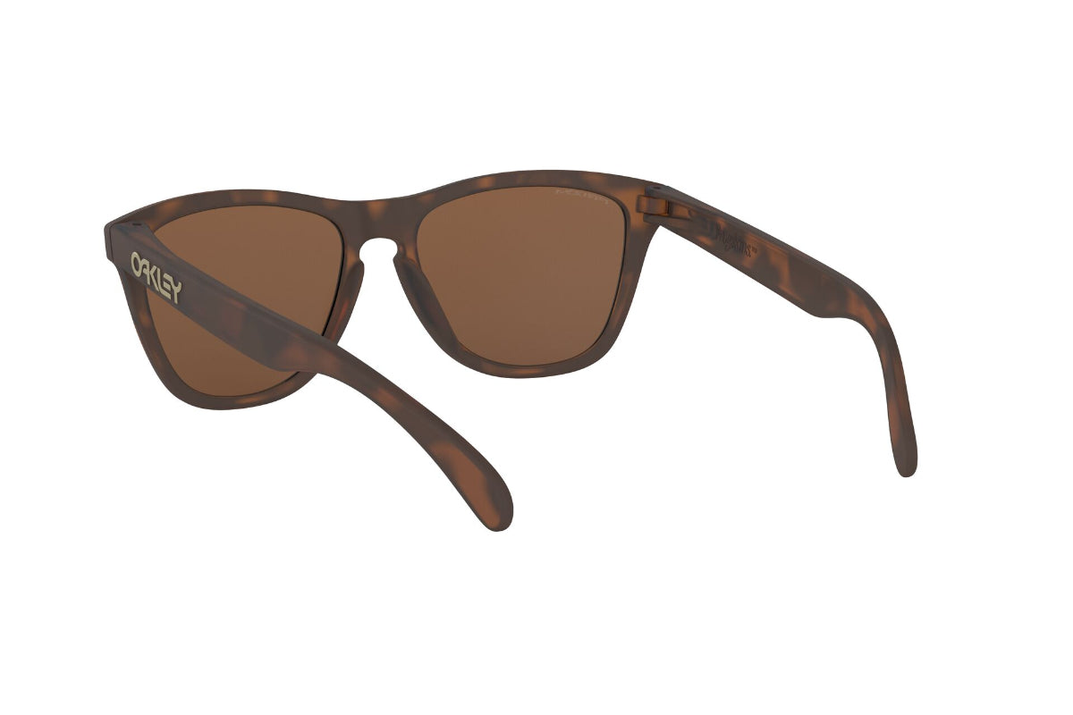Oakley Frogskins Prizm