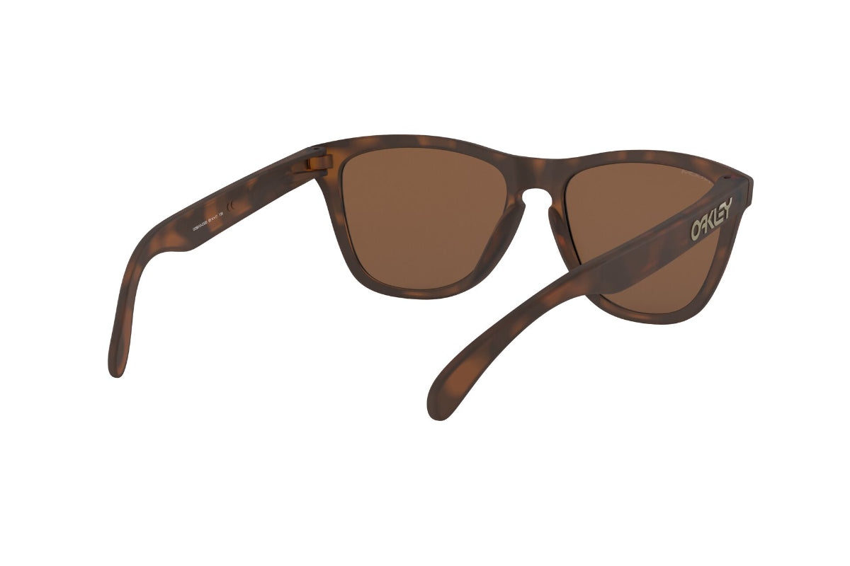 Oakley Frogskins Prizm