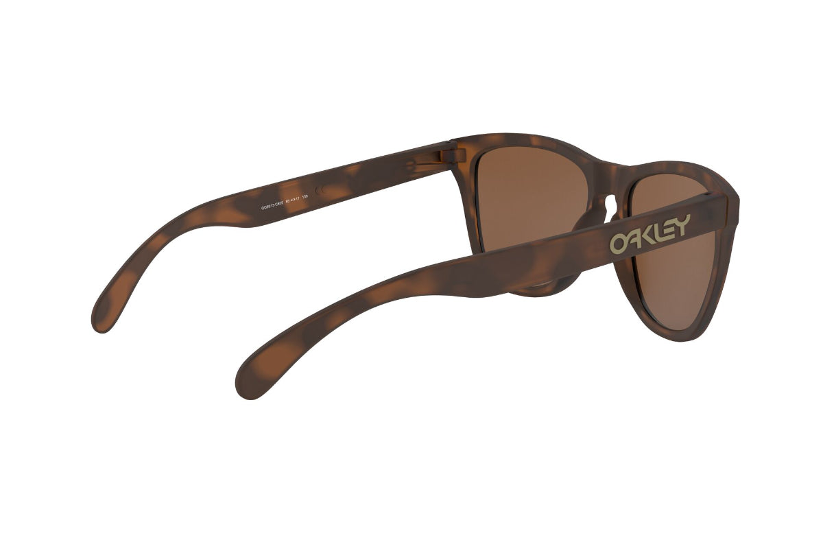 Oakley Frogskins Prizm