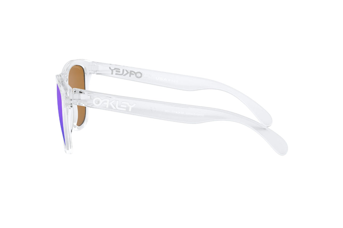 Oakley Frogskins Prizm