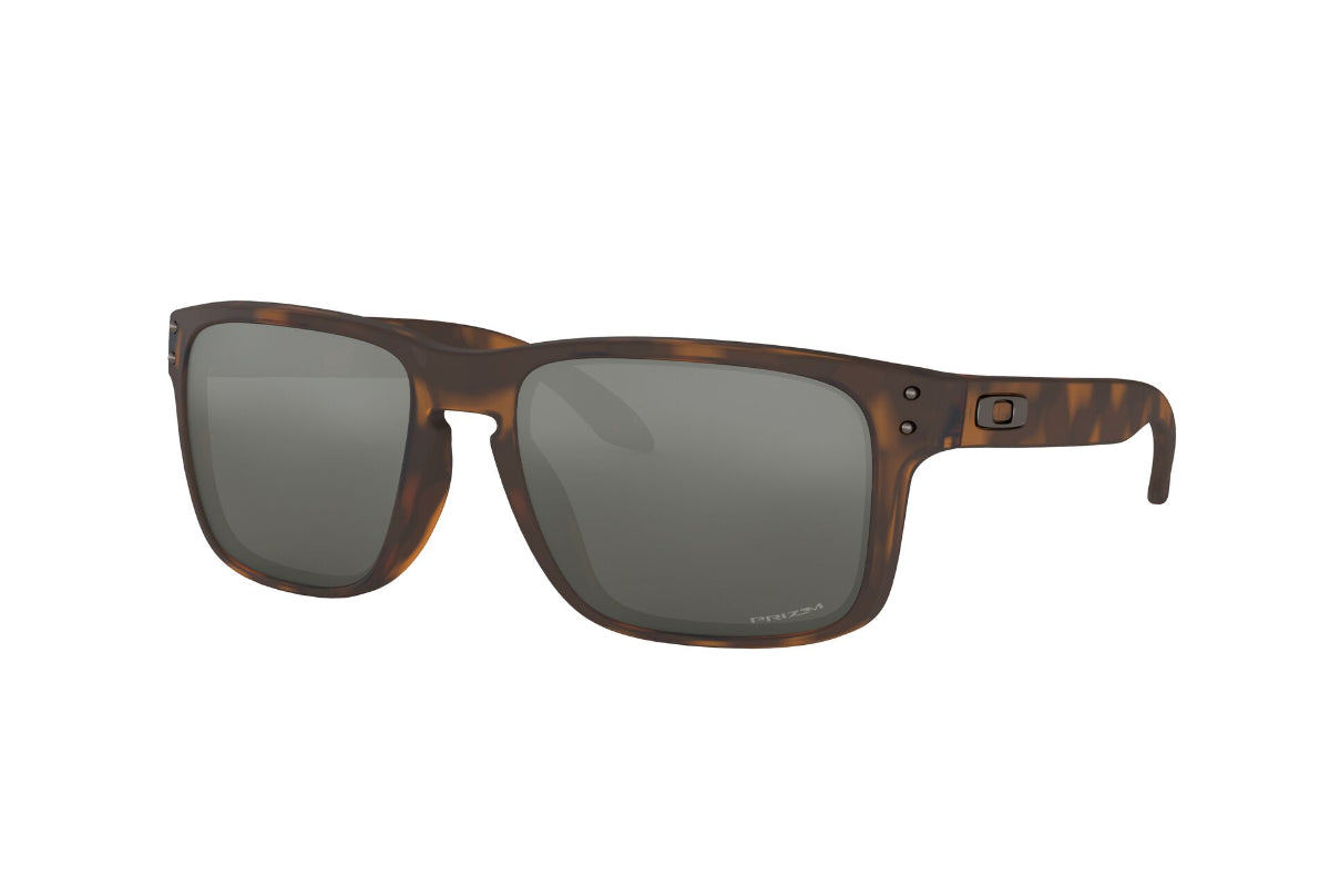 Oakley Holbrook Prizm