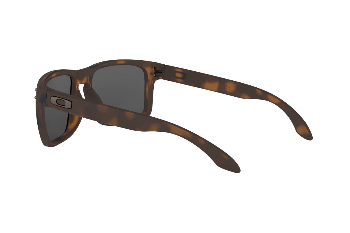 Oakley Holbrook Prizm