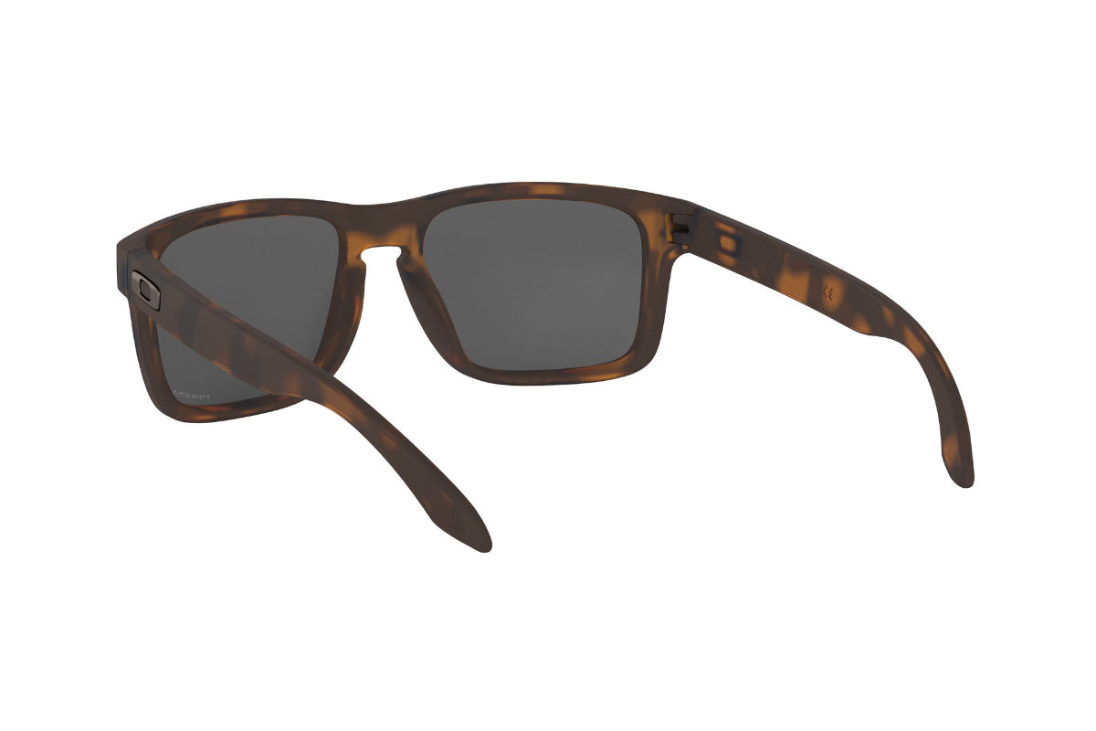 Oakley Holbrook Prizm