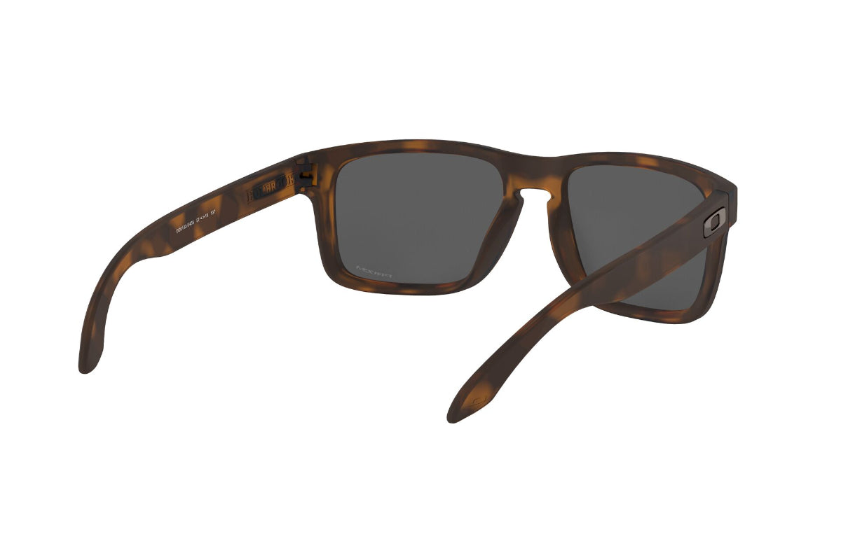 Oakley Holbrook Prizm